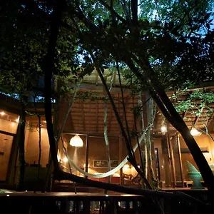 Ojo De árbol, Boutique In The Jungle. Relax , Tulum Mexique